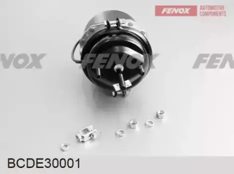 энергоаккумулятор !тип 30/30, шпильки М16x1.5 (120мм), шток М16x1.5 \МАЗ BCDE30001 FENOX