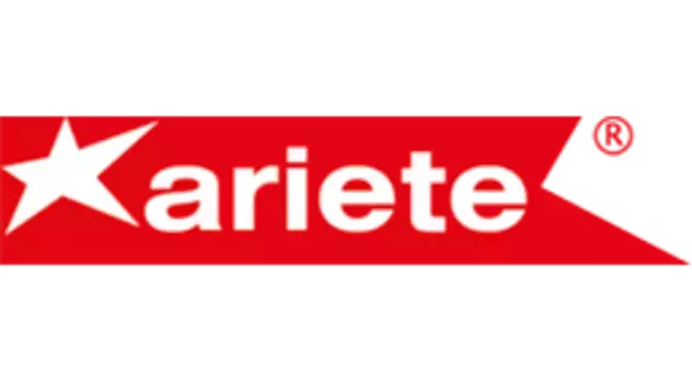 ARI106 ARI.106, Сальник подвески ARIETE