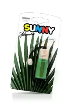 Ароматизатор автомобильный RUNWAY RW6074 жидкостный