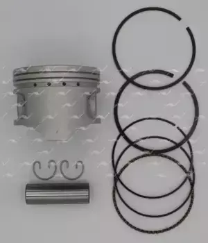 AUTOWELT ПОРШНЯ (10013160/041019/0401018 ) PN34321