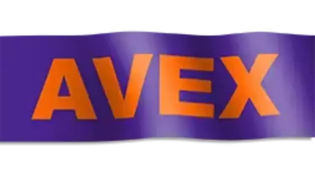 AV1696 Подшипник ступицы роликовый конический d70 D124,7 T110 AVEX