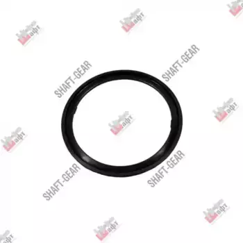 АВТОЗАПЧАСТЬ (10702070/041219/0255697, КИТАЙ) C01033 SHAANXI