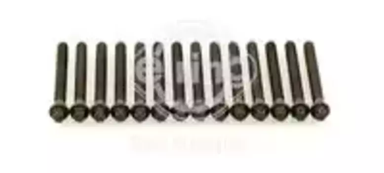 Болт головки блока цилиндра (ГБЦ) ELRING 802.820