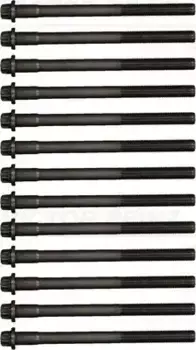 Болт головки блока цилиндра (ГБЦ) VICTOR REINZ 14-32300-01