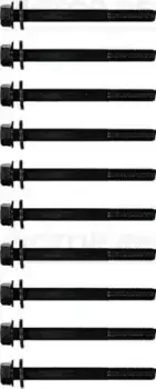 Болт головки блока цилиндра (ГБЦ) VICTOR REINZ 14-32355-02