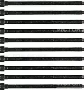 Болт головки блока цилиндра (ГБЦ) VICTOR REINZ 14-35738-01