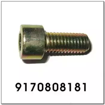 болт корзины!\ Ssangyong Actyon 05-12 9170808181