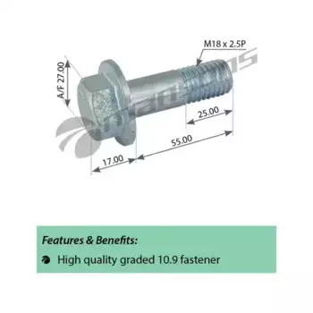 болт крепления суппорта! M18x2x55 SW27\ DAF 200341 MANSONS