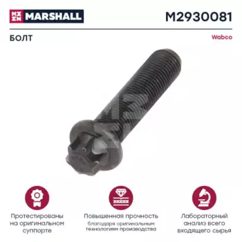 болт крышки суппорта! M10x1x40 головка Astral 8x\Wabco PAN17-1/19-1/22-1, DAF,SAF