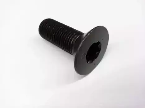 болт регулятора фаз ГРМ !\ Audi A1/A3 04>, Skoda Octavia 04-08, VW Golf/Passat 05> 06D109281D VAG