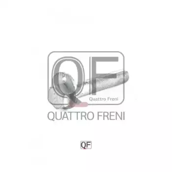 болт с эксцентриком! регулировочный\ Nissan Primera/Tsuru/X-Trail/Qashqai/ Rogue 01> QF60D00006 QUATTRO FRENI