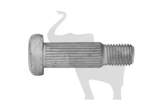 Болт с накаткой 1216005 SCHMITZ