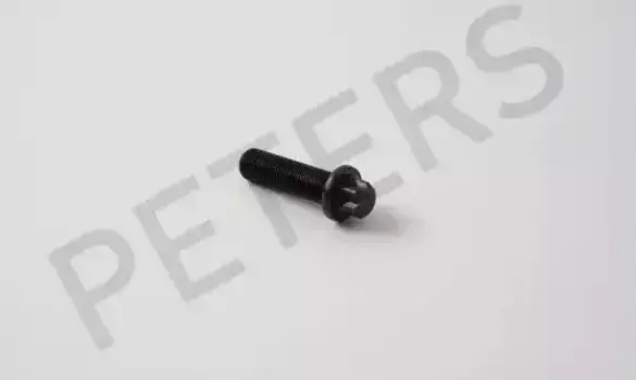 болт! Torx M16x1,5x55 10.9\ MAN L2000/M2000L/M2000M/TGA/TGM/TGS 031.374-00A PETERS