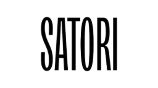 БРЫЗГОВИКИ СПЕЦИАЛЬНЫЕ SKODA OCTAVIA 05 A5 ЗАДН SI0400046 SATORI