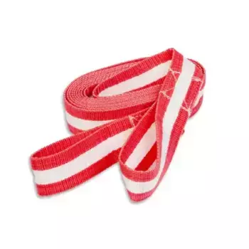 Буксировочный трос AUTOPROFI TRL-100 10 тонн 5 м 5.5 см