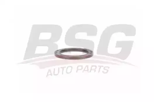 cальник распредвала!\ Ford Zetec-SE/Zetec-S 1.25/1.4/1.6/1.7 DURATEC-SF BSG30-116-118 BSG