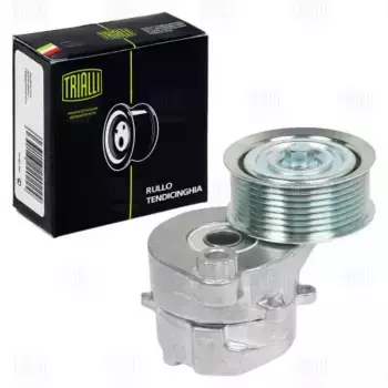 CM 5656 Ролик привод. ремня для а/м КАМАЗ 5490/Axor (ОМ457) (с натяж. мех.) вент. d=77mm.(CM 5656) TRIALLI