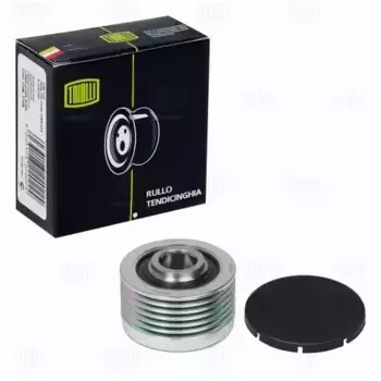 CM 6733 Ролик привод. ремня для а/м Peugeot Boxer (99-) 2.0d/2.2d/2.8d (обгонная муфта) (CM 6733) TRIALLI