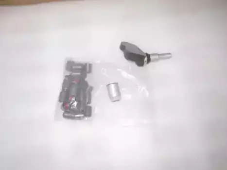 датчик давления шин!\ Geely Coolray SX11 19> 1017034809