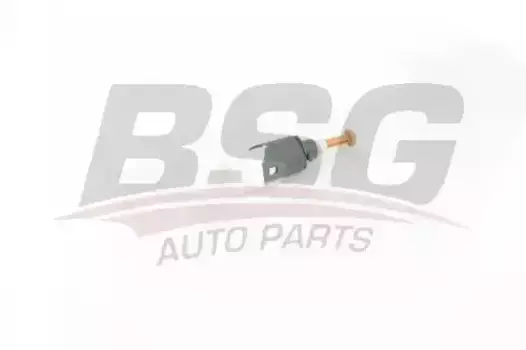 датчик стоп-сигнала!\ Renault Megane/Scenic 1.4-2.0i/1.5-2.0DCi 02> BSG 75-840-005 BSG
