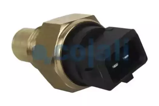 Датчик температуры автомобильные COJALI 2260405