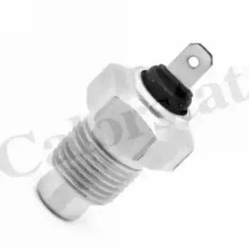 Датчик температуры автомобильные VERNET WS2509