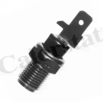 Датчик температуры автомобильные VERNET WS2540