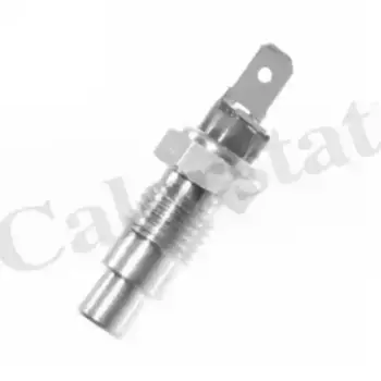 Датчик температуры автомобильные VERNET WS2544