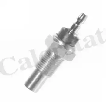 Датчик температуры автомобильные VERNET WS2559