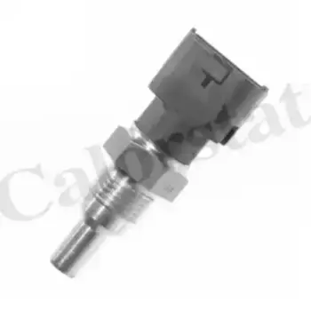 Датчик температуры автомобильные VERNET WS2564