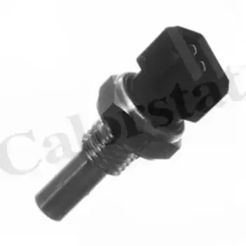 Датчик температуры автомобильные VERNET WS2593