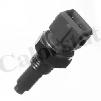 Датчик температуры автомобильные VERNET WS2594