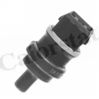 Датчик температуры автомобильные VERNET WS2595