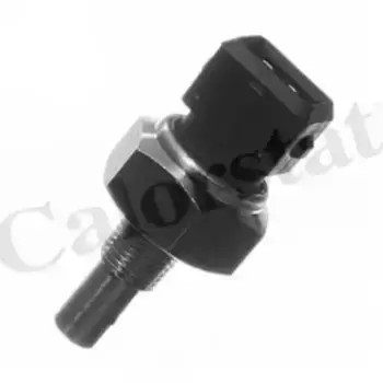 Датчик температуры автомобильные VERNET WS2601