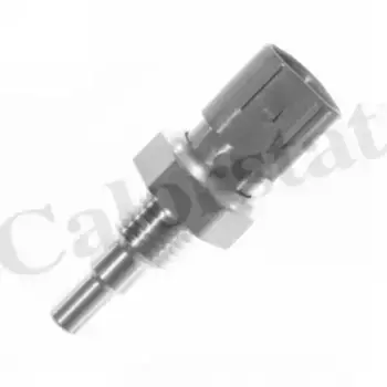 Датчик температуры автомобильные VERNET WS2938