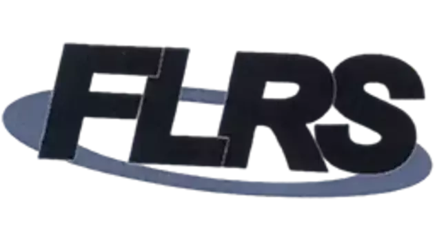 Диск сцепления FLRS 18000206