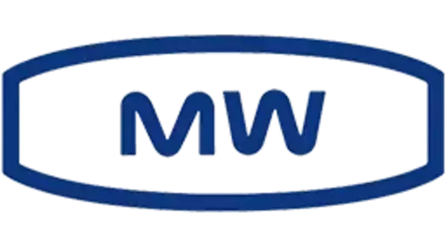 ДИСК ШТАМПОВАННЫЙ R16 6.5J 5X114.3/66.1 ET50 MAGNETTO S 16003