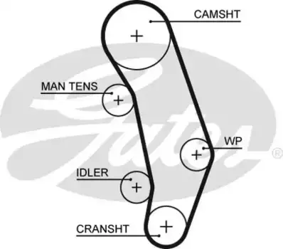 Для ГРМ GATES 5346XS 1181 мм 26.5 мм