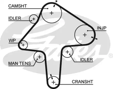 Для ГРМ GATES 5482XS 1419 мм 24 мм