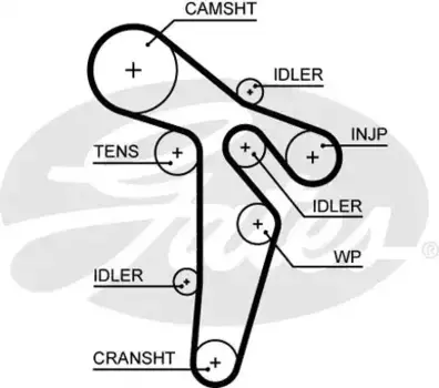 Для ГРМ GATES 5648XS 1524 мм 30 мм