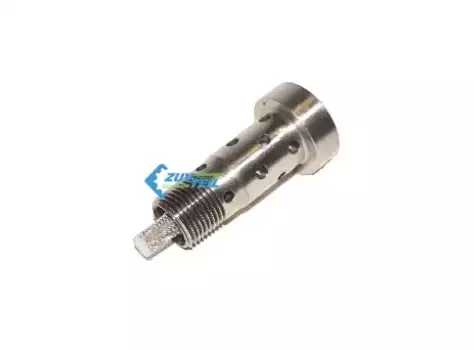EPZ1234 Клапан муфты распредвала ZUVTEIL