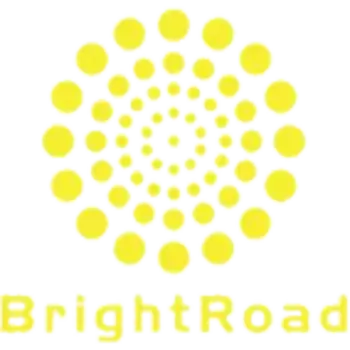 Фара BRIGHTROAD 01A22001M1L