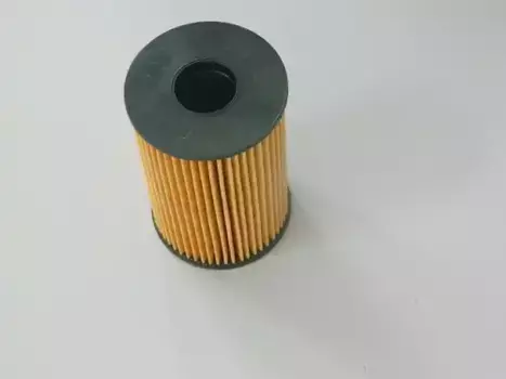 Фильтр масляный HAVAL 1017101XED30