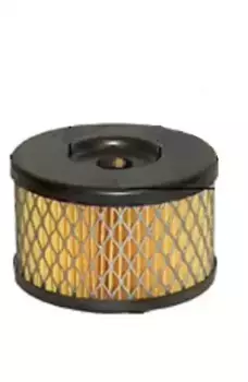 Фильтр масляный ЛИВНЫ 4310-3407359-10 КАМАЗ