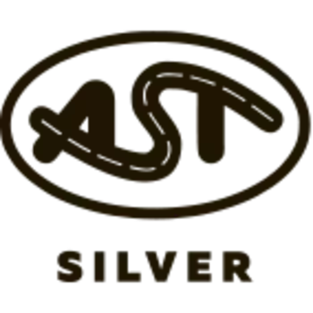 Фильтр воздушный AST SILVER DZ9X259190121