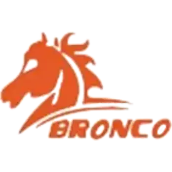 Фильтр воздушный BRONCO BRA0293