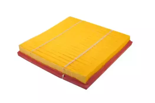 Фильтр воздушный CAREX 100065RX