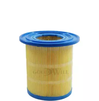 Фильтр воздушный GOODWILL AG 900