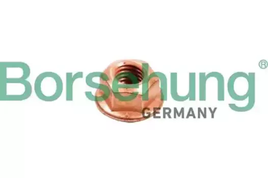 Гайка автомобильная BORSEHUNG B10638