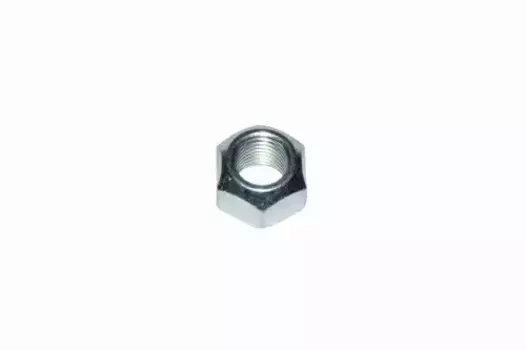 Гайка автомобильная IVECO 17309031